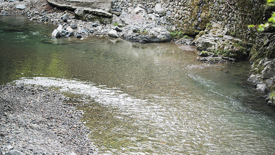 水がきれいな子供が遊べる川遊び穴場スポット！京都 清滝川